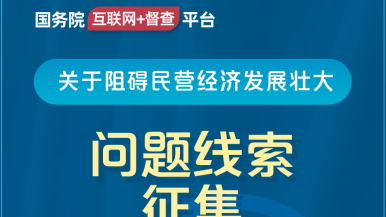 日逼88国务院“互联网+督查”平台公开征集阻碍民营经济发展壮大问题线索